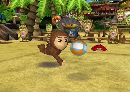media/pim/big-beach-sports-wii-4005209105347_6.jpg