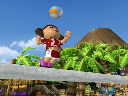 media/pim/big-beach-sports-wii-4005209105347_7.jpg