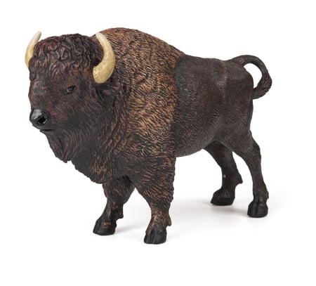 media/pim/bison-bison-3465000501198_0.jpg
