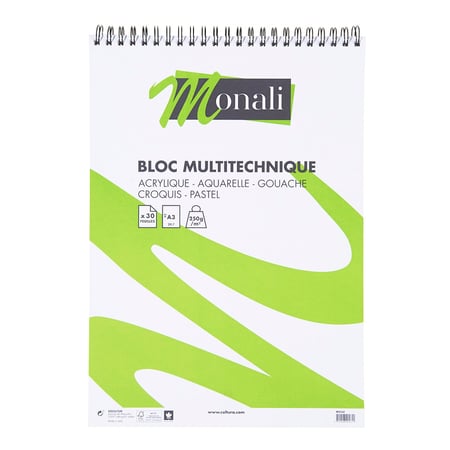 media/pim/bloc-multi-techniq-a3-250g-30f-3700408404611_0.jpg