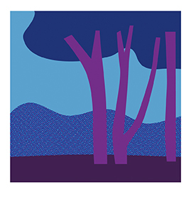 media/pim/boite-creative-am-maildor-safari-de-gommettes-3609510540449_12.jpg