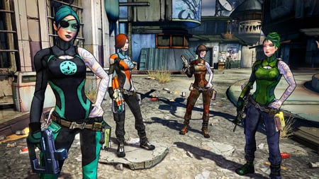media/pim/borderlands-2-0711719420712_8.jpg