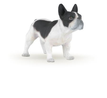 media/pim/bouledogue-francais-n-b-bouledogue-francais-n-b-3465000540067_0.jpg