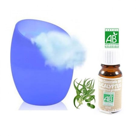 media/pim/bouteille-a-huile-400ml-h24cm-3471051679489_0.jpg