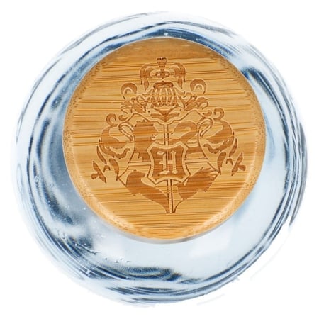 media/pim/bouteille-harry-potter-small-620-ml-17-cm-8412497003440_2.jpg