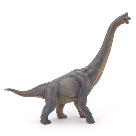 media/pim/brachiosaure-brachiosaure-3465000550301_6.jpg