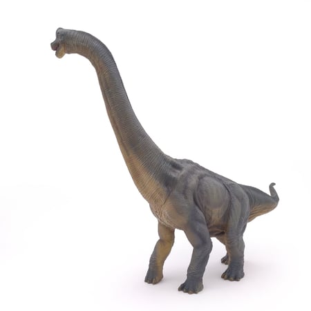media/pim/brachiosaure-brachiosaure-3465000550301_8.jpg