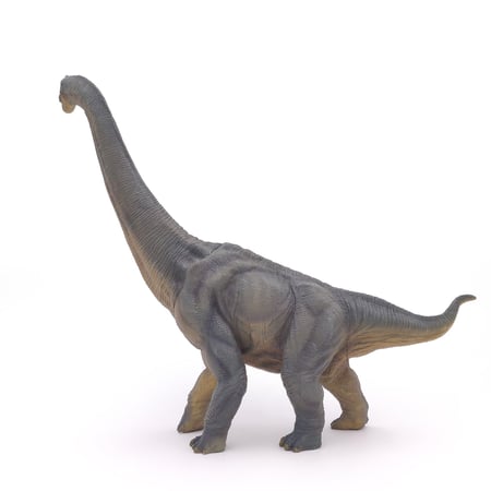 media/pim/brachiosaure-brachiosaure-3465000550301_9.jpg