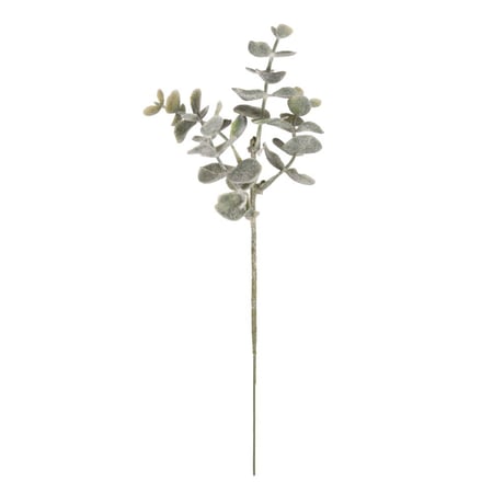 media/pim/branche-de-buis-givre-20cm-4006166499685_0.jpg