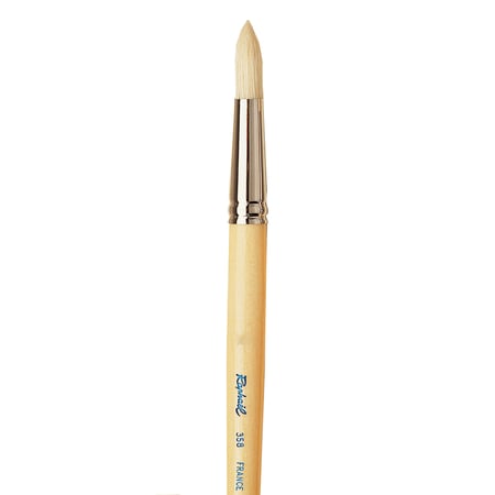 media/pim/brosse-cambree-rond-20-brosse-cambree-rond-20-3046450035732_0.jpg