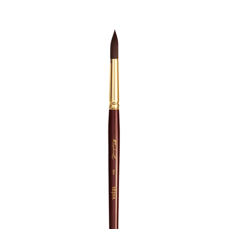 media/pim/brosse-sepia-rond-10-brosse-sepia-rond-10-3046450052111_0.jpg