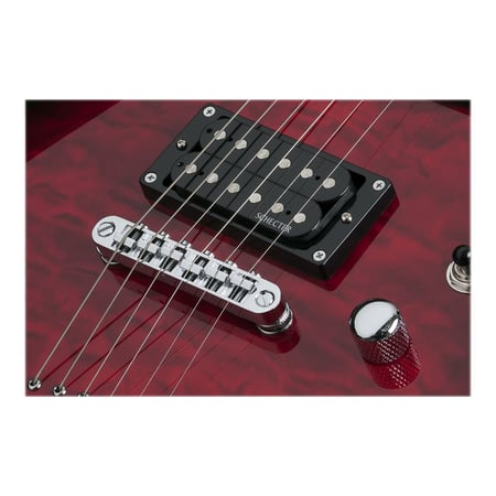 media/pim/c-6-plus-see-thru-cherry-burst-0815447020890_2.JPG