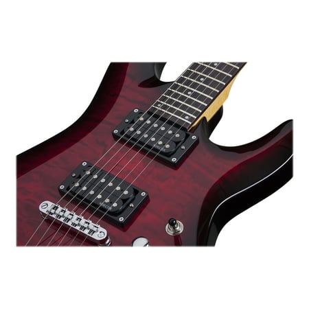 media/pim/c-6-plus-see-thru-cherry-burst-0815447020890_3.JPG