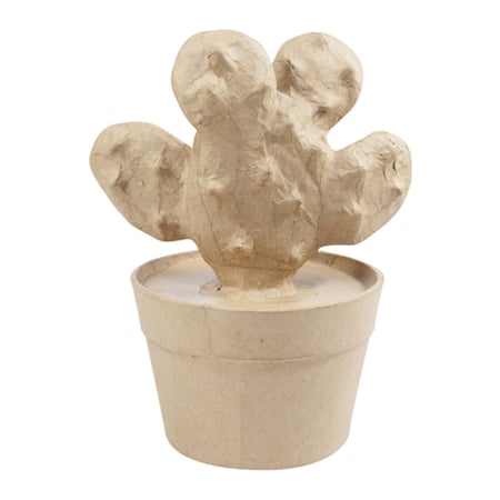 media/pim/cactus-a-pics-h16-5cm-3609510010478_0.jpg