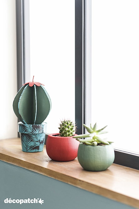 media/pim/cactus-boule-pap-mache-3609510010393_11.jpg