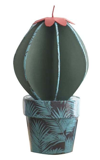 media/pim/cactus-boule-pap-mache-3609510010393_13.jpg