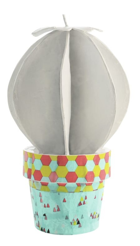 media/pim/cactus-boule-pap-mache-3609510010393_5.jpg
