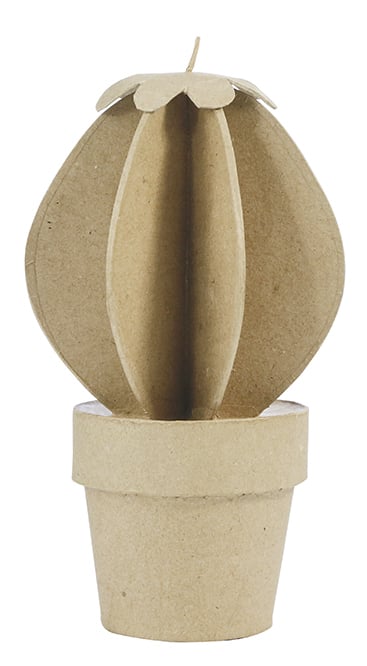 media/pim/cactus-boule-pap-mache-3609510010393_6.jpg