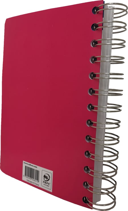 media/pim/cah-de-texte-spiral-17x22-pp-ass-3700408428426_7.jpg