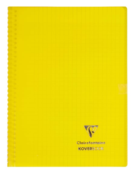 media/pim/cahier-koverbook-ri-21x29-7cm-160p-seyes-col-ass-3037923764013_5.jpg