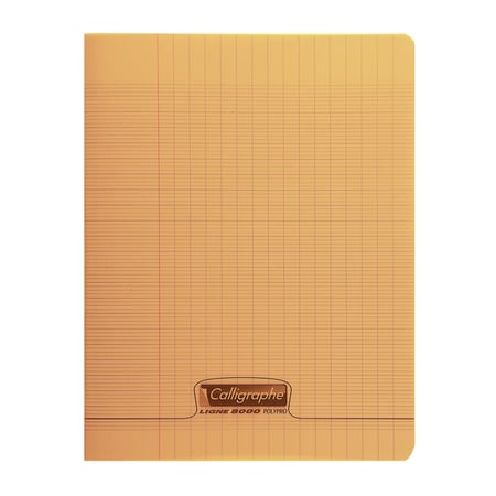 media/pim/cahier-poly-orange-24x32cm-48p-seyes-90g-3210330181783_0.jpg