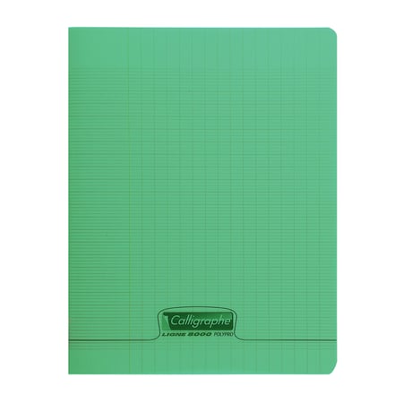 media/pim/cahier-poly-vert-24x32cm-48p-seyes-90g-3210330181752_0.jpg
