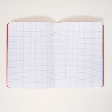 media/pim/cahier-pp-17x22-140p-seyes-rou-2001000275359_3.jpg
