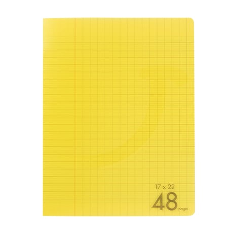 media/pim/cahier-pp-17x22-48p-seyes-jaun-2001000275427_0.jpg
