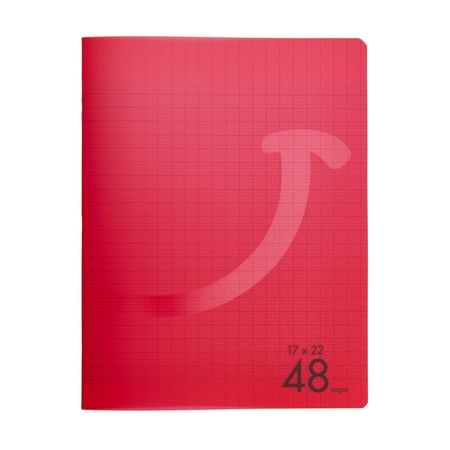 media/pim/cahier-pp-17x22-48p-seyes-rou-2001000275403_0.jpg