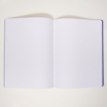 media/pim/cahier-pp-24x32-140p-5x5-marin-2001000274987_3.jpg