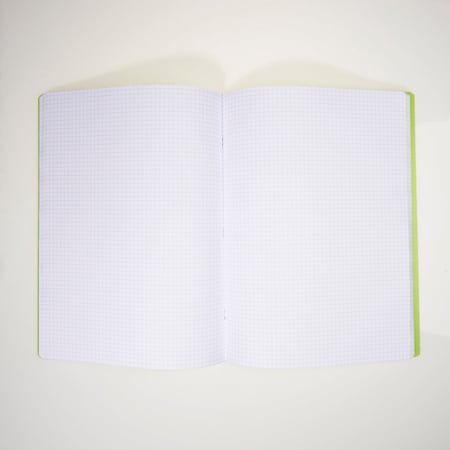 media/pim/cahier-pp-24x32-140p-5x5-vert-2001000275007_6.jpg