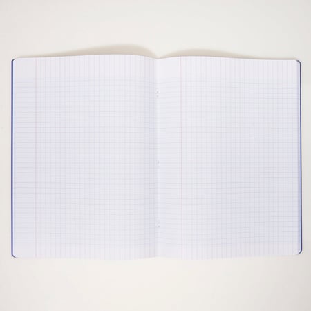 media/pim/cahier-pp-24x32-140p-seyes-mar-2001000274932_3.jpg