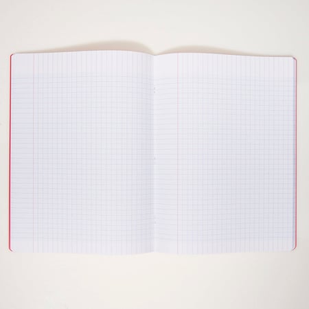media/pim/cahier-pp-24x32-140p-seyes-rou-2001000274949_3.jpg