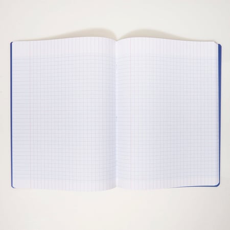 media/pim/cahier-pp-24x32-192p-seyes-mar-2001000274888_3.jpg