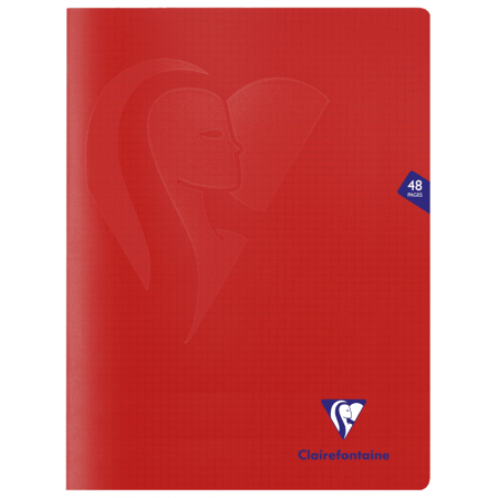 media/pim/cahier-pp-24x32-5x5-48p-col-ass-3329683033127_4.jpg