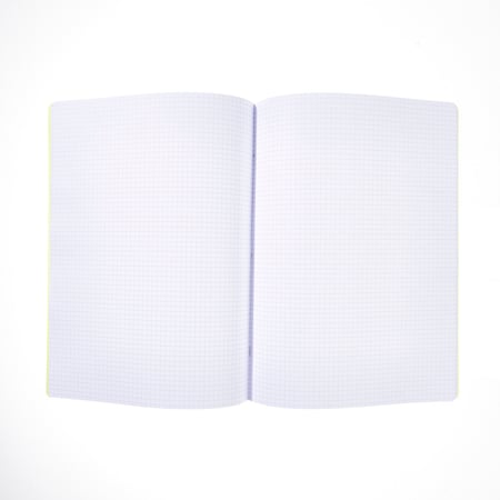 media/pim/cahier-pp-24x32-96p-5x5-vert-2001000275052_2.jpg