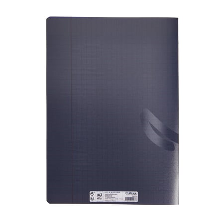 media/pim/cahier-pp-a4-48p-seyes-ass-3700408420376_11.jpg