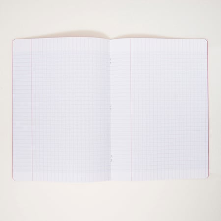 media/pim/cahier-pp-a4-48p-seyes-rouge-2001000275199_3.jpg