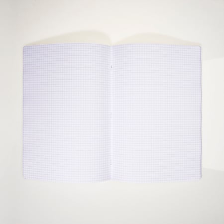 media/pim/cahier-pp-a4-96p-5x5-transp-2001000275243_3.jpg