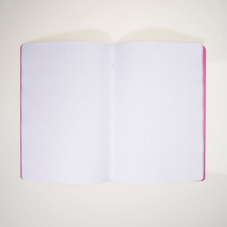 media/pim/cahier-pp-a4-96p-5x5-violet-2001000275311_3.jpg