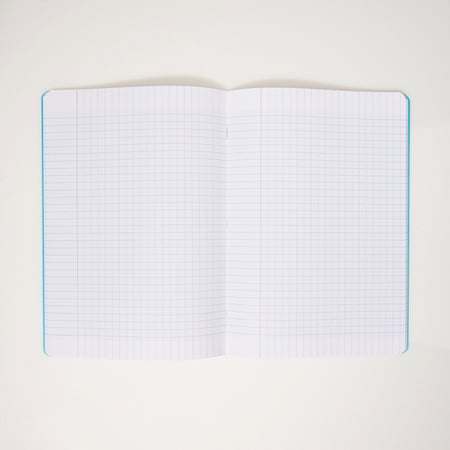 media/pim/cahier-pp-a4-96p-seyes-turq-3700408426552_2.jpg