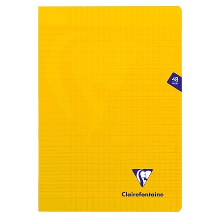 media/pim/cahier-pp-a4-seyes-48p-col-ass-3329683031017_1.jpg