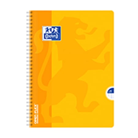 media/pim/cahier-ri-openflex-a4-100p-sey-cahier-ri-openflex-a4-100p-sey-3020120018867_6.JPEG