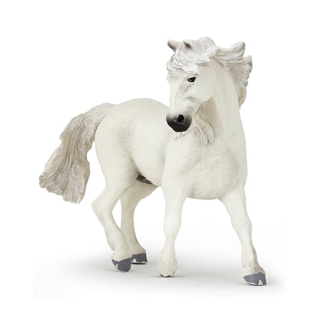 media/pim/camargue-3465000515430_0.jpg