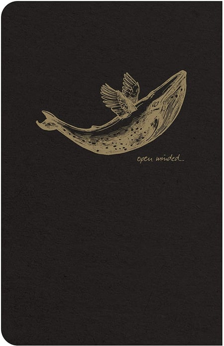 media/pim/carn-flying-black-11x17-lg-ass-3329681025063_5.jpg