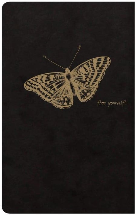 media/pim/carn-flying-black-7-5x12-lg-as-3329681025865_5.jpg
