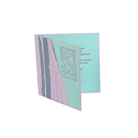 media/pim/carte-pliee-135x135-carte-pliee-135x135-myosotis-pqt-25-3329680028195_21.jpg