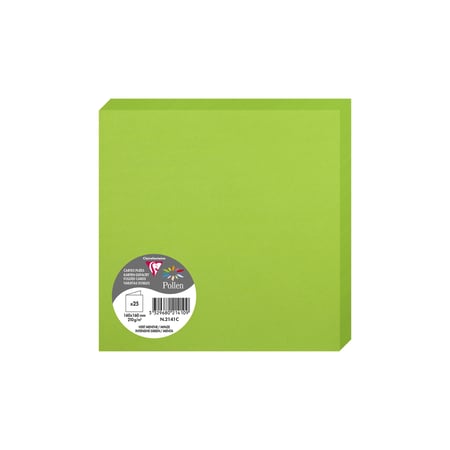 media/pim/carte-pliee-160x160-vert-menthe-pqt-25-carte-pliee-160x160-vert-menthe-pqt-25-3329680214109_0.jpg