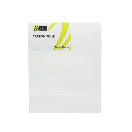 media/pim/carton-toile-24x30-cm-carton-toile-24x30-cm-3mm-3700408590451_0.jpg