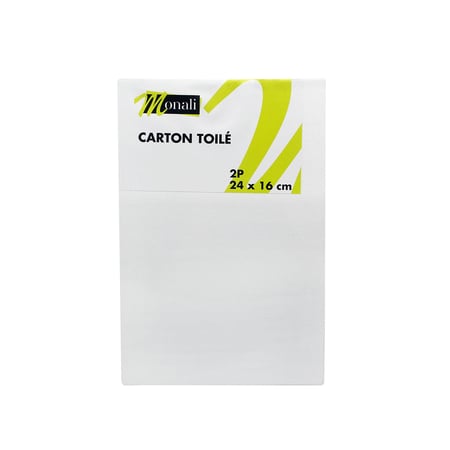 media/pim/carton-toile-2p-carton-toile-2p-3mm-3700408590550_0.jpg